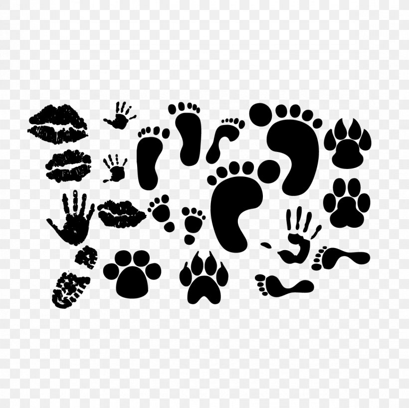 Footprint Euclidean Vector Animal Track, PNG, 1181x1181px, Footprint, Animal Track, Black, Black And White, Color Download Free