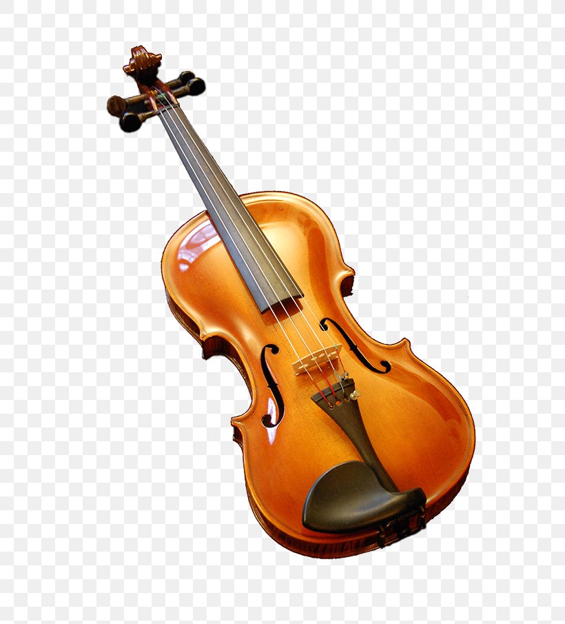Bass Violin Violone Viola Fiddle, PNG, 601x905px, Watercolor, Cartoon, Flower, Frame, Heart Download Free