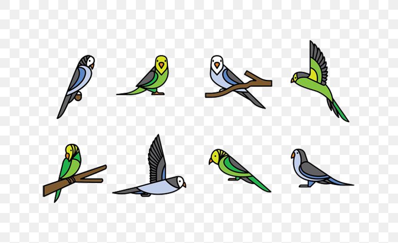Parrot Bird Budgerigar, PNG, 717x502px, Parrot, Beak, Bird, Budgerigar, Fauna Download Free