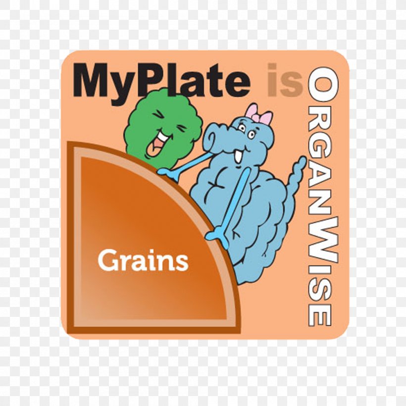 The OrganWise Guys MyPlate Food Health Nutrition, PNG, 1000x1000px, Organwise Guys, Area, Brand, Child, Dairy Products Download Free
