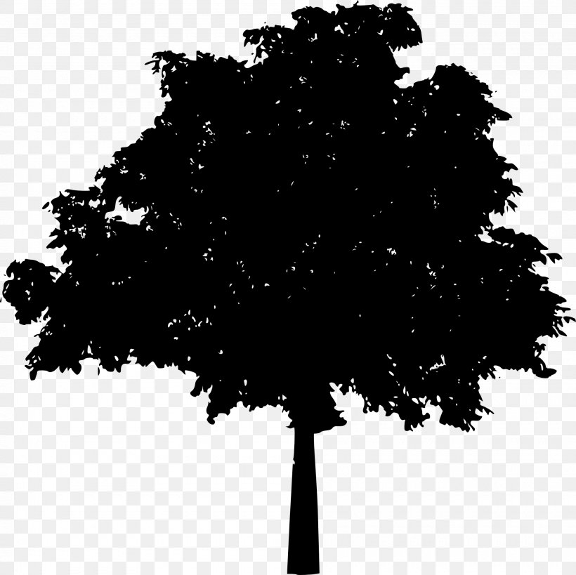 Tree Silhouette Drawing Clip Art, PNG, 2000x1999px, Tree, Black, Black And White, Branch, Broadleaved Tree Download Free