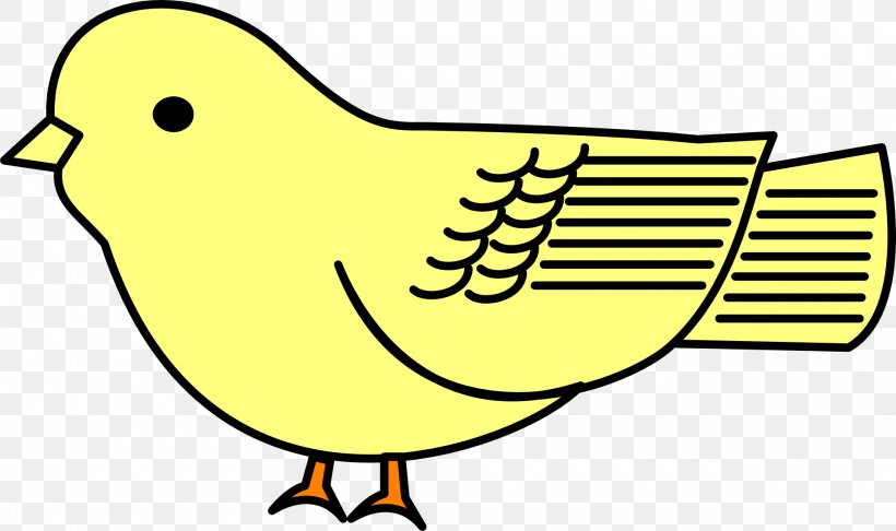 Bird Clip Art Parrot Vector Graphics, PNG, 1920x1140px, Bird, Beak, Bird Food, Cartoon, Drawing Download Free