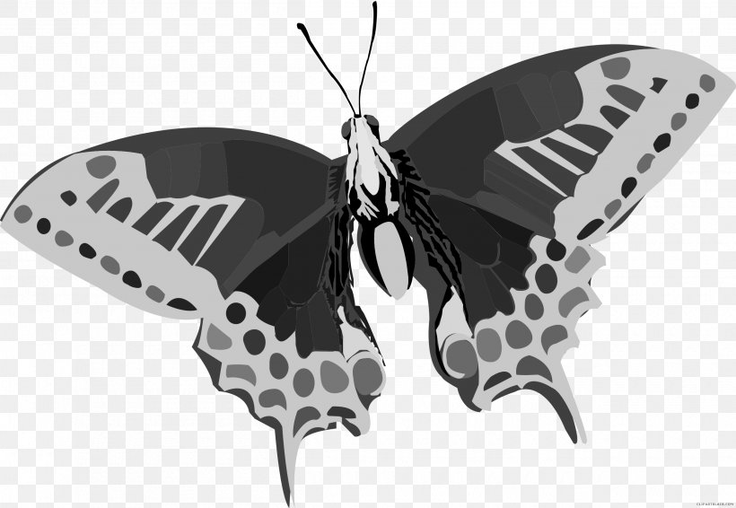 Butterfly Color Clip Art, PNG, 2500x1728px, Butterfly, Arthropod, Black, Black And White, Brush Footed Butterfly Download Free