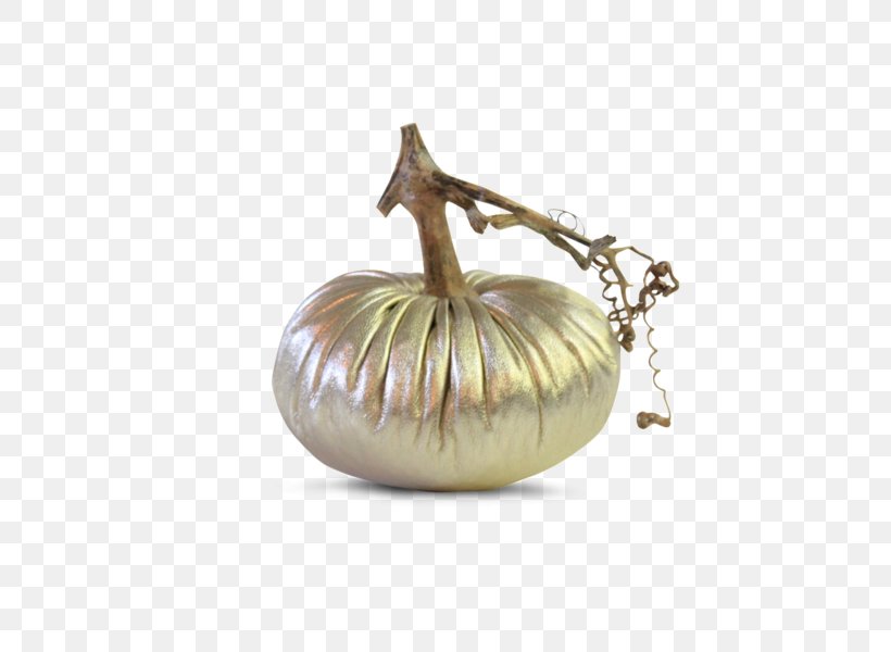 Gold Pumpkin Vegetable Silver Metal, PNG, 600x600px, Gold, Chevron Corporation, Copper, Earth, Gunmetal Download Free