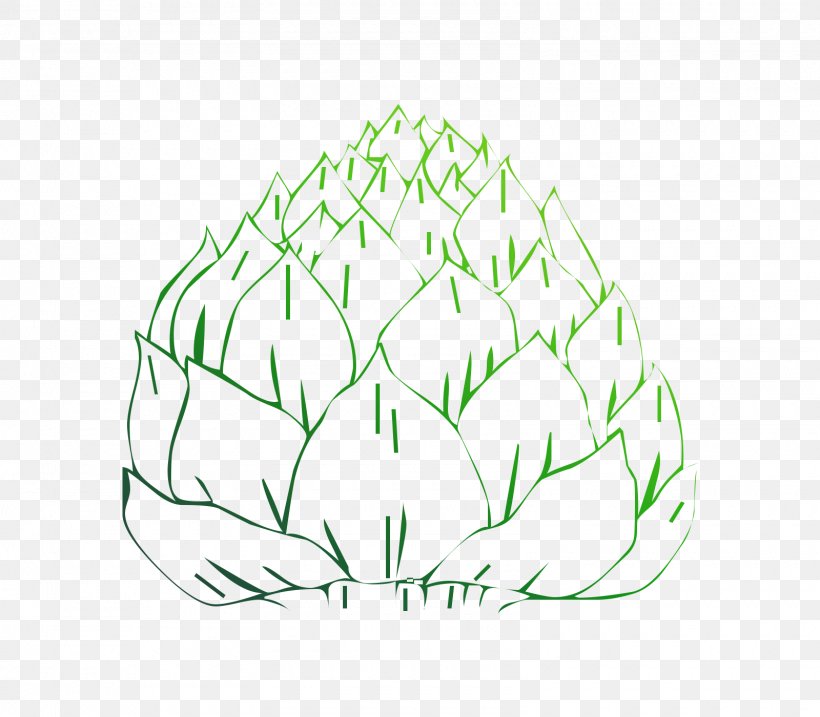 Leaf Illustration Clip Art Flower Green, PNG, 1600x1400px, Leaf, Artichoke, Botany, Cabbage, Drawing Download Free