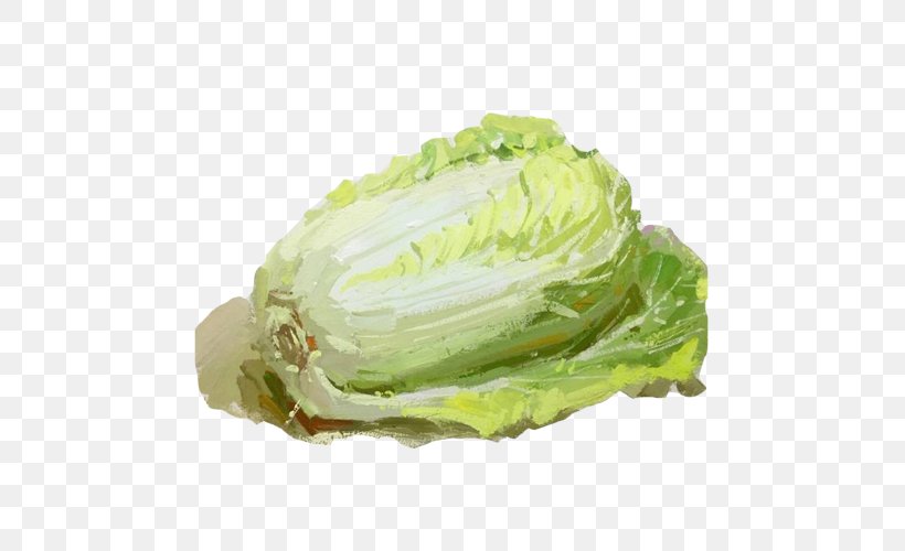 Romaine Lettuce Cabbage Vegetable Spring Greens, PNG, 500x500px, Romaine Lettuce, Cabbage, Chinese Cabbage, Collard Greens, Cruciferous Vegetables Download Free