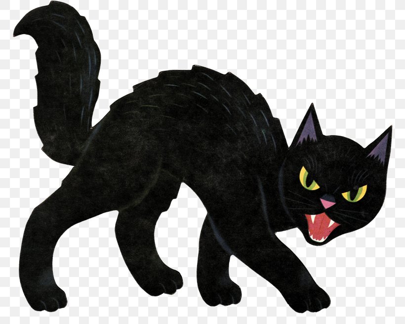 Scottish Fold Halloween Black Cat Jack-o'-lantern Clip Art, PNG, 800x655px, Scottish Fold, Black Cat, Bubble Light, Carnivoran, Cat Download Free