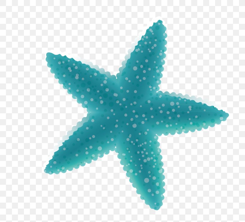 Starfish Icon, PNG, 719x745px, 3d Computer Graphics, Starfish, Aqua, Coreldraw, Echinoderm Download Free