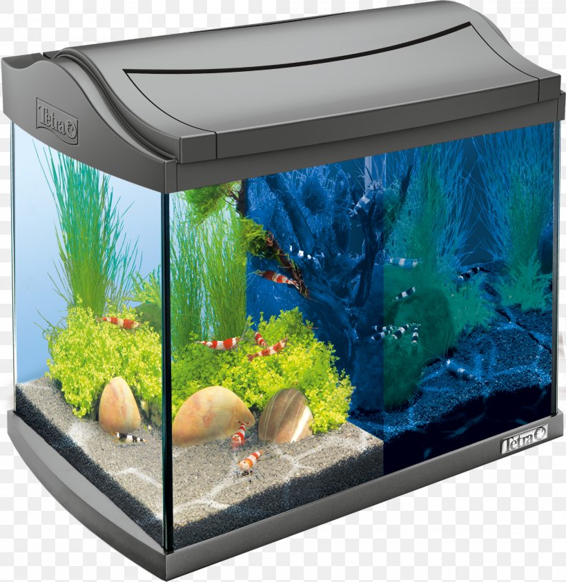 Tetra Nano Aquarium Light-emitting Diode Shrimp, PNG, 2100x2159px, Tetra, Air Pump, Aquarium, Aquarium Decor, Aquarium Lighting Download Free