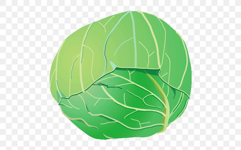 Cabbage Green, PNG, 512x512px, Cabbage, Green, Leaf, Organism, Vegetable Download Free