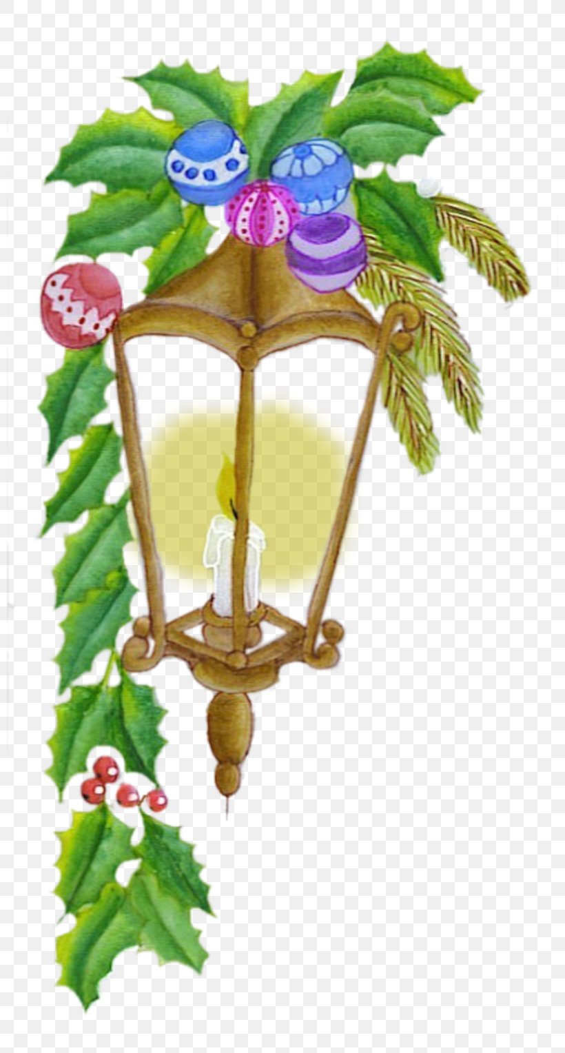 Flowerpot Leaf Tree, PNG, 800x1528px, Flowerpot, Flora, Flower, Leaf, Plant Download Free