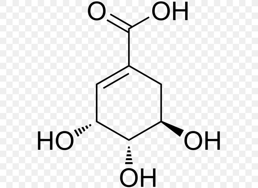 Shikimic Acid Shikimate Pathway Chemical Compound Chemistry, PNG, 598x599px, 2chlorobenzoic Acid, Shikimic Acid, Acid, Amino Acid, Anion Download Free
