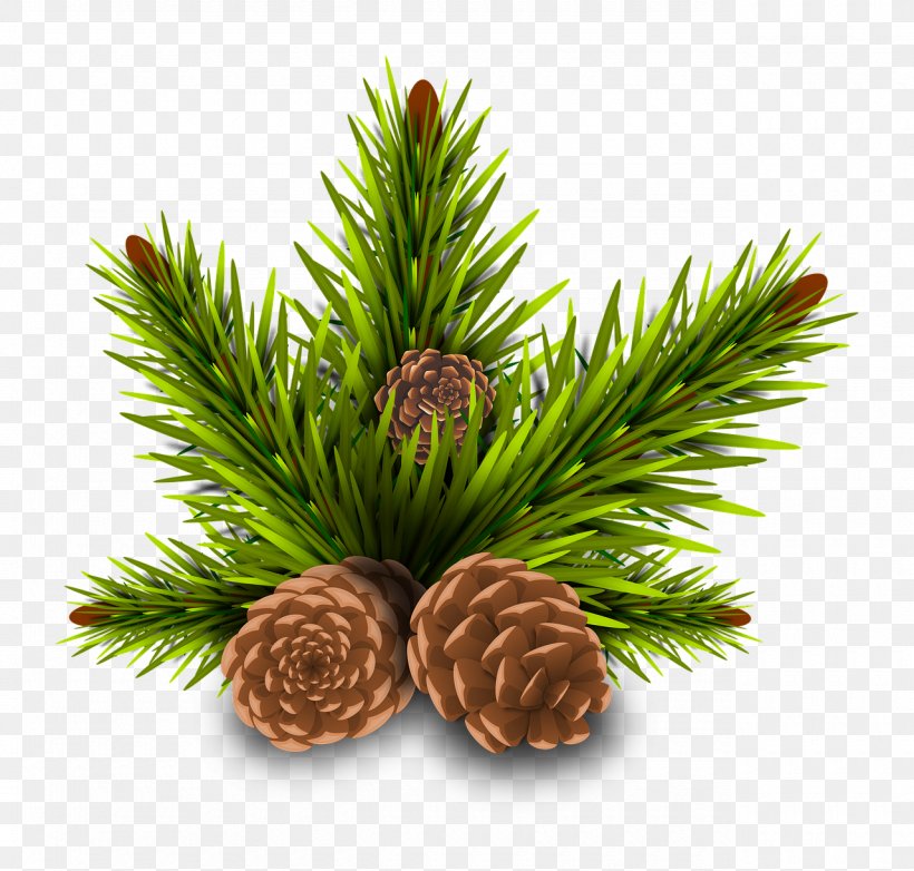 Stone Pine Conifer Cone Tree, PNG, 1280x1221px, Stone Pine, Branch, Christmas Ornament, Conifer, Conifer Cone Download Free