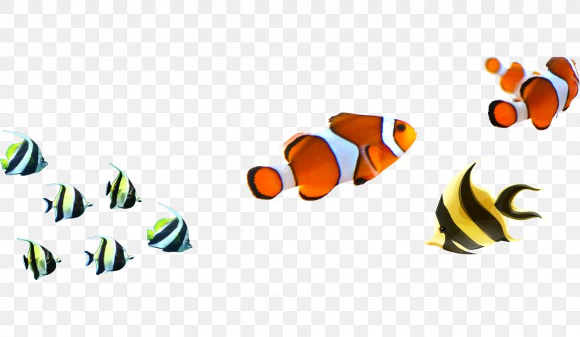 Angelfish Clownfish Clip Art, PNG, 1664x969px, Angelfish, Brand, Clownfish, Fish, Logo Download Free