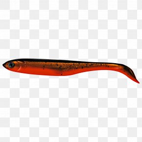 Spoon Lure Common Rudd Herring Carp Fish, PNG, 600x600px, Spoon Lure, Ac  Power Plugs And Sockets, Bait, Bony Fish, Carp Download Free