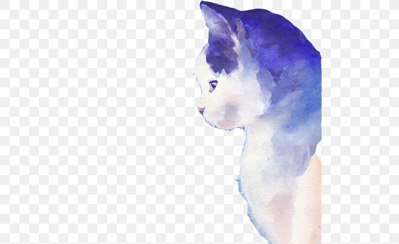 Kitten Whiskers Cat Hello Kitty, PNG, 502x502px, Kitten, Carnivoran, Cat, Cat Like Mammal, Designer Download Free