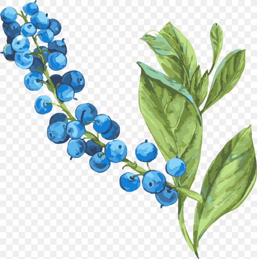 Beach Rose Bilberry Blueberry, PNG, 1503x1514px, Beach Rose, Bilberry, Blue Rose, Blueberry, Flower Download Free