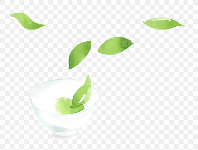 Leaf Green Plant Stem, PNG, 1000x763px, Leaf, Green, Plant, Plant Stem Download Free