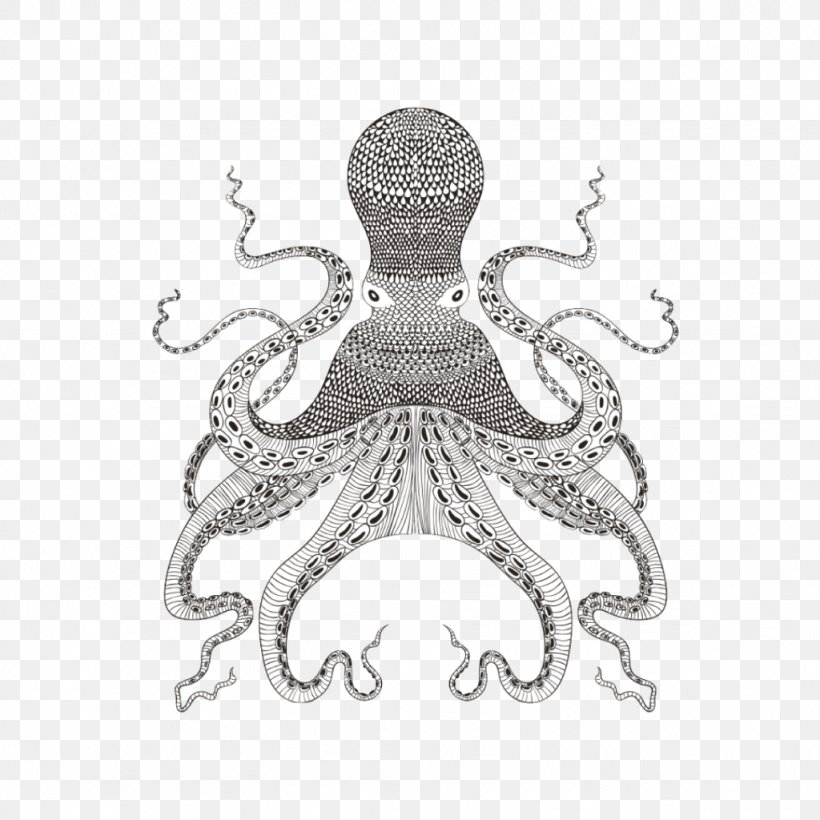 Zen Coloring: Ocean Zen Coloring Book Zen Coloring: Animals The Creative Coloring Book, PNG, 1024x1024px, Coloring Book, Adult, Black And White, Cephalopod, Color Download Free