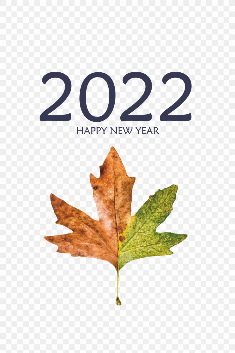 2022 Happy New Year 2022 New Year 2022, PNG, 2000x3000px, Leaf, Biology, Meter, Plant, Plant Structure Download Free