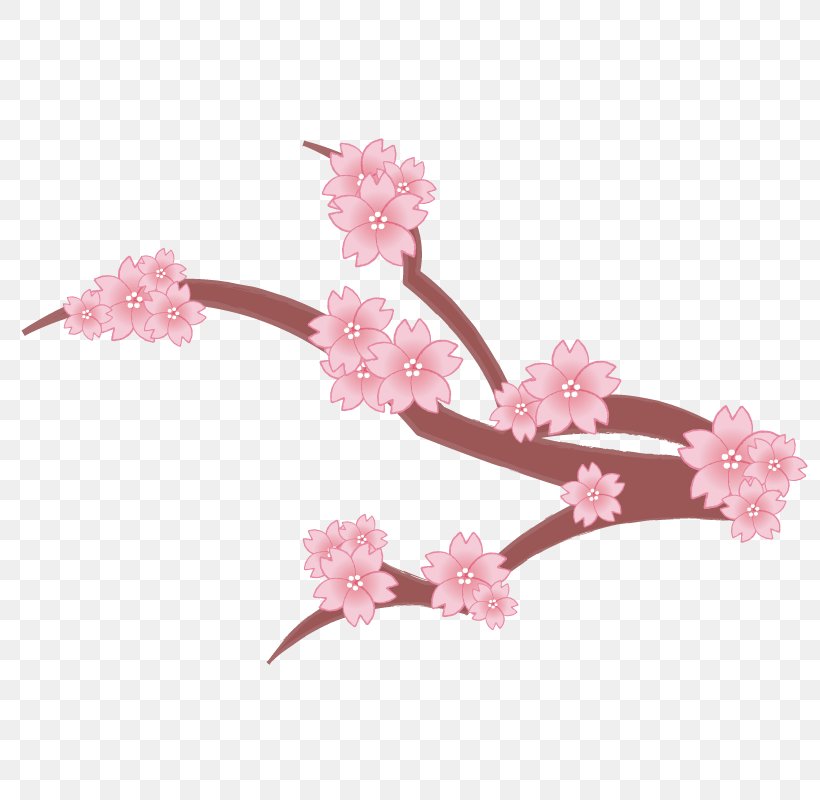 Cherry Blossom Branch Petal Tree, PNG, 800x800px, Cherry Blossom, Blossom, Branch, Floral Emblem, Flower Download Free