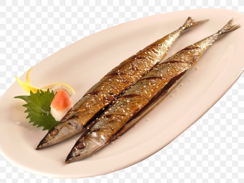 Pacific Saury Barbecue Fish, PNG, 1024x768px, Pacific Saury, Animal Source Foods, Barbecue, Capelin, Dish Download Free