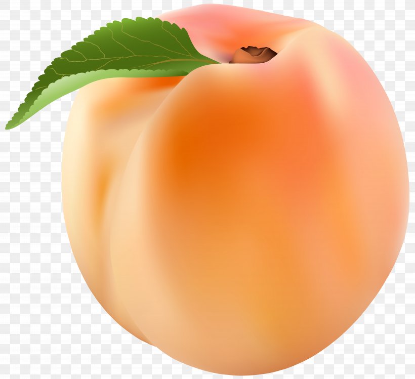 Peach Clip Art, PNG, 8000x7316px, Nectarine, Apple, Apricot, Blog, Brugnon Download Free