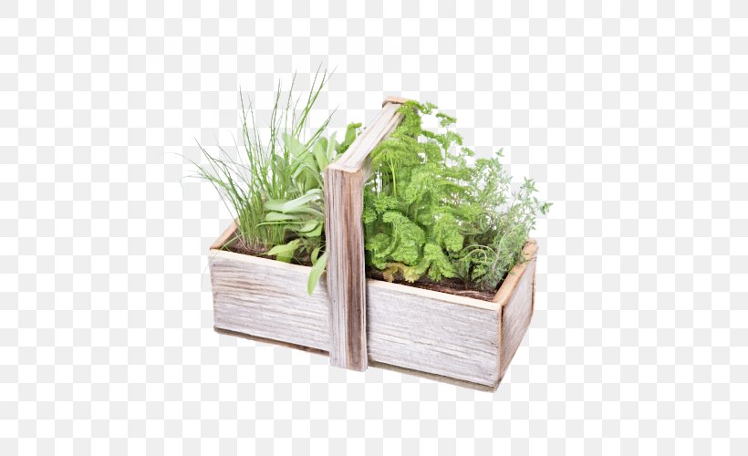 Flowerpot Plant Herb Grass Rectangle, PNG, 500x500px, Flowerpot, Fines Herbes, Flower, Grass, Herb Download Free