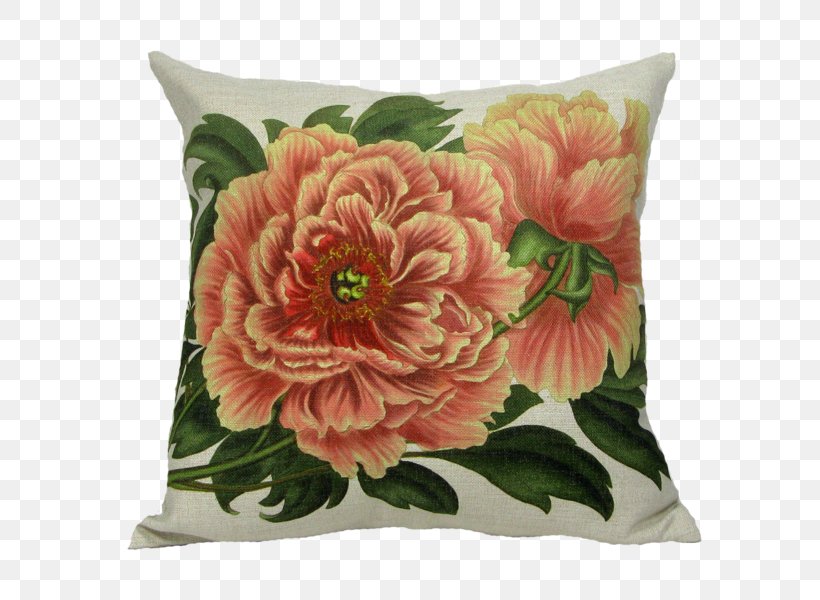 Throw Pillows Cushion Tree Peony, PNG, 600x600px, Throw Pillows, Bed, Cushion, Cut Flowers, Floral Design Download Free