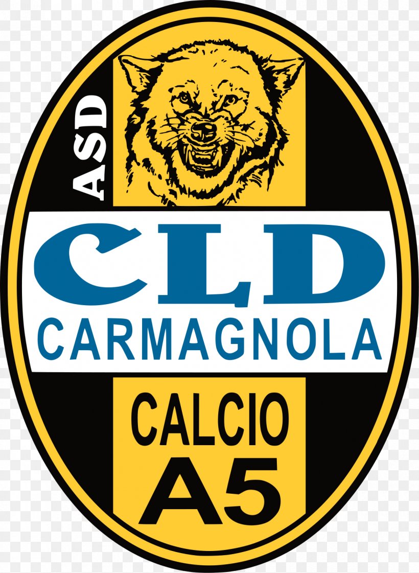 Carmagnola Futsal Logo MyGlass Font, PNG, 1200x1641px, Carmagnola, Area, Area M, Brand, Football Download Free