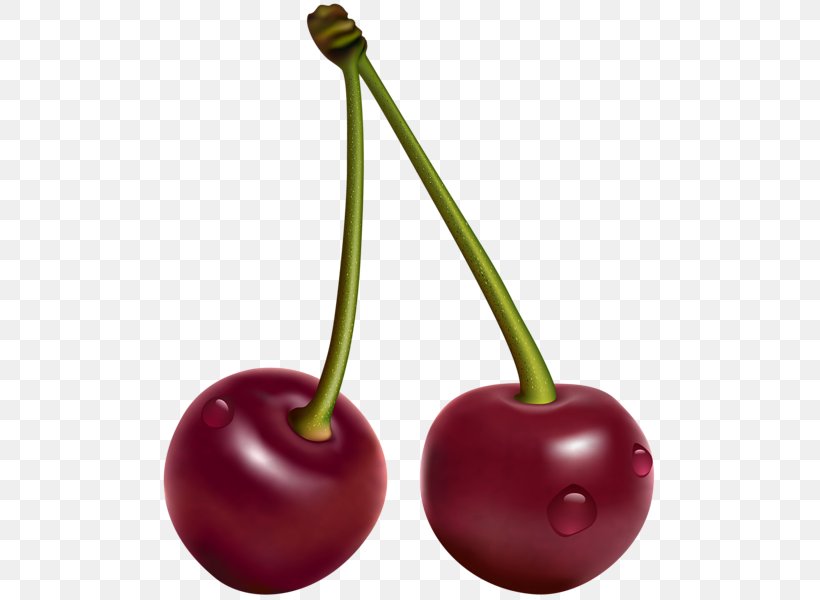 Cherry Fruit Clip Art, PNG, 503x600px, 3d Computer Graphics, Cherry, Art, Carambola, Food Download Free
