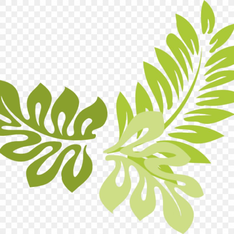 Clip Art Fern Free Content Illustration Vector Graphics, PNG, 1024x1024px, Fern, Branch, Flora, Flower, Flowering Plant Download Free