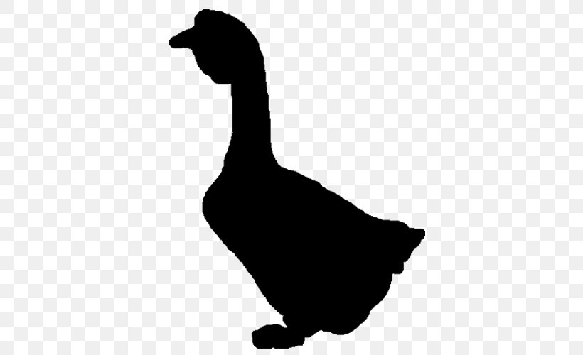 Duck Goose Water Bird Anatidae, PNG, 500x500px, Duck, Anatidae, Beak, Bird, Black And White Download Free
