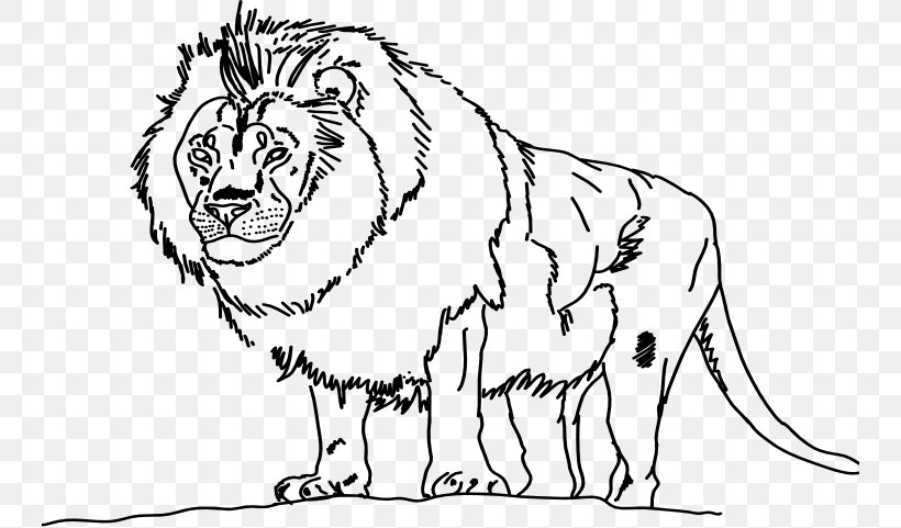 Lion Line Art Tiger Whiskers Drawing, PNG, 744x481px, Lion, Animal Figure, Artwork, Big Cats, Black And White Download Free