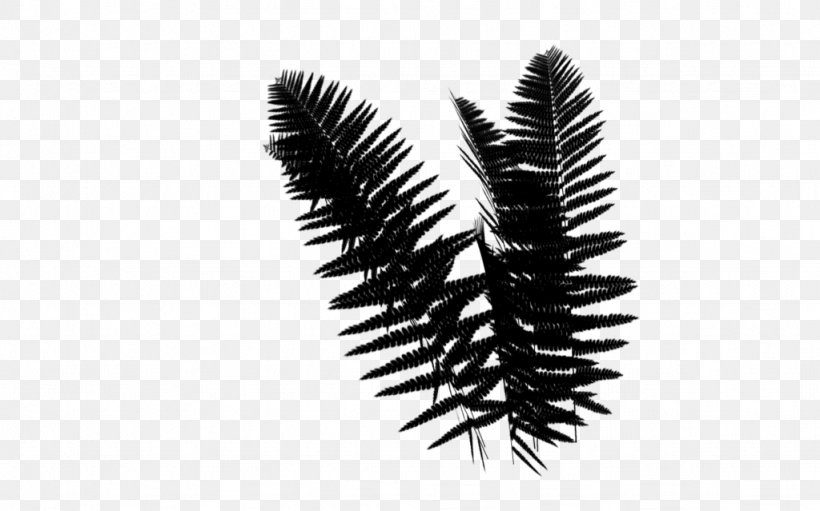 Clip Art Ostrich Fern Image, PNG, 1024x639px, Fern, Cosmetics, Eye, Eyelash, Eyelash Extensions Download Free