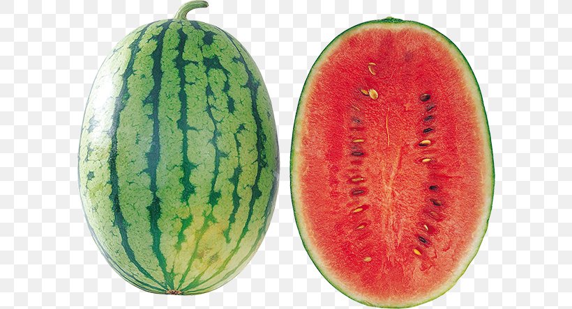 Watermelon Clip Art, PNG, 600x444px, Watermelon, Biscuits, Citrullus, Cucumber, Cucumber Gourd And Melon Family Download Free