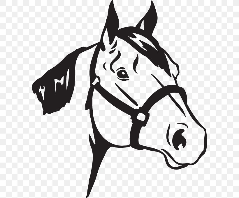American Quarter Horse Wall Decal Sticker Equestrian, PNG, 600x682px, American Quarter Horse, Adhesive, Advertising, Black, Black And White Download Free