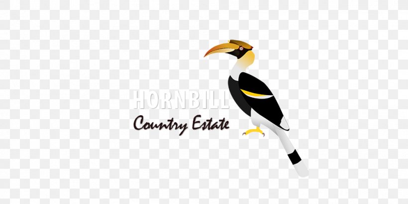 Beak Brand Great Hornbill Logo, PNG, 998x501px, Beak, Bird, Brand, Great Hornbill, Hornbill Download Free