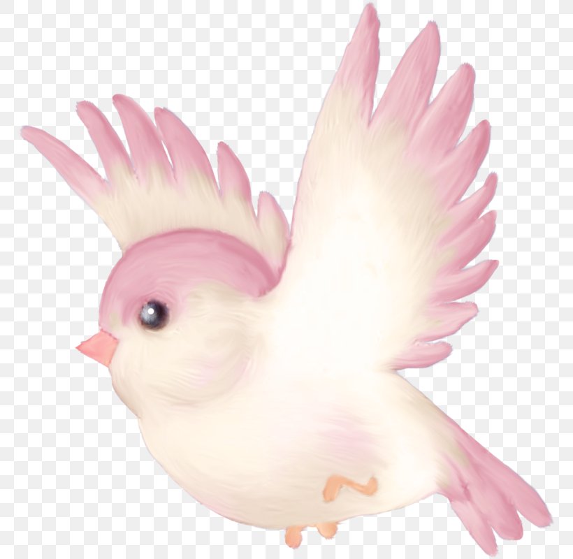 Bird Parrot Cartoon Clip Art, PNG, 769x800px, Bird, Animation, Art, Beak, Bluebird Download Free