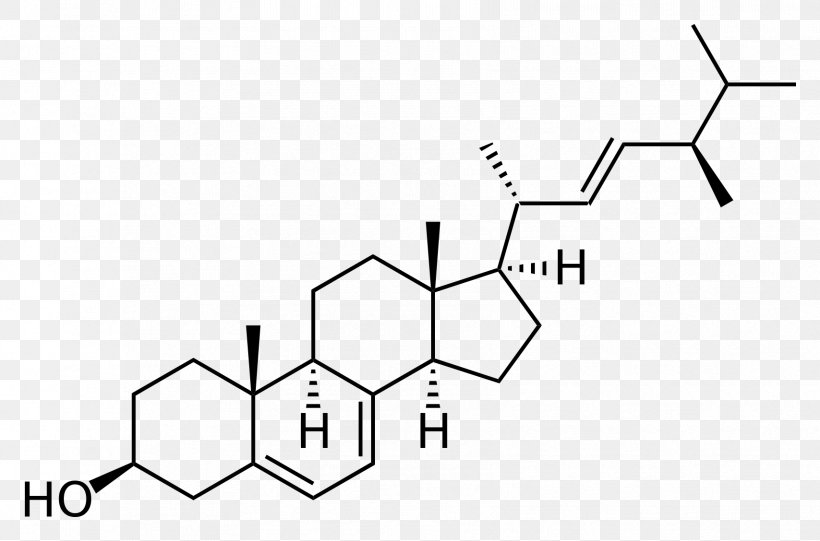 Cholesterol Steroid Lipid Ergosterol, PNG, 1708x1128px, Cholesterol, Anabolic Steroid, Androstenedione, Area, Biological Activity Download Free