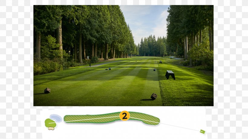 Golf Clubs Golf Course Lawn, PNG, 980x551px, Golf, Golf Club, Golf Clubs, Golf Course, Golf Equipment Download Free