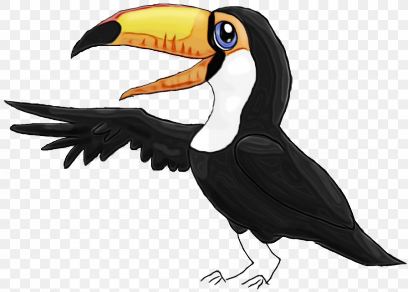 Toucans Hornbill Piciformes Beak Science, PNG, 900x645px, Watercolor, Beak, Biology, Hornbill, Paint Download Free