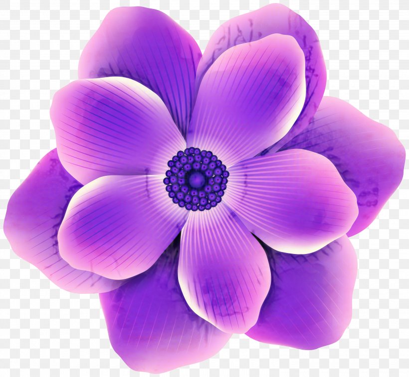 Violet Lilac Flower Petal Purple, PNG, 3000x2771px, Violet, Anemone, Color, Cut Flowers, Drawing Download Free