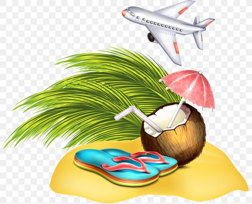 Airplane Illustration, PNG, 800x663px, Airplane, Beach, Flipflop, Flipflops, Food Download Free