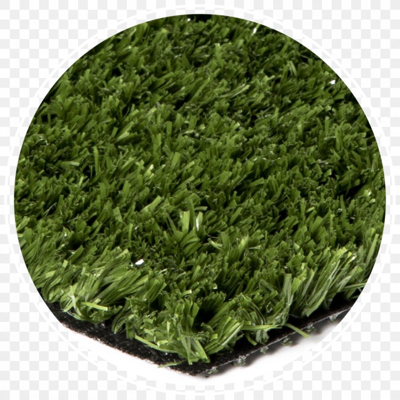 Artificial Turf Master Your Short Game Lawn Bentgrass Synthetic Fiber, PNG, 1000x1000px, Artificial Turf, Bentgrass, Climate, Economy, Grass Download Free