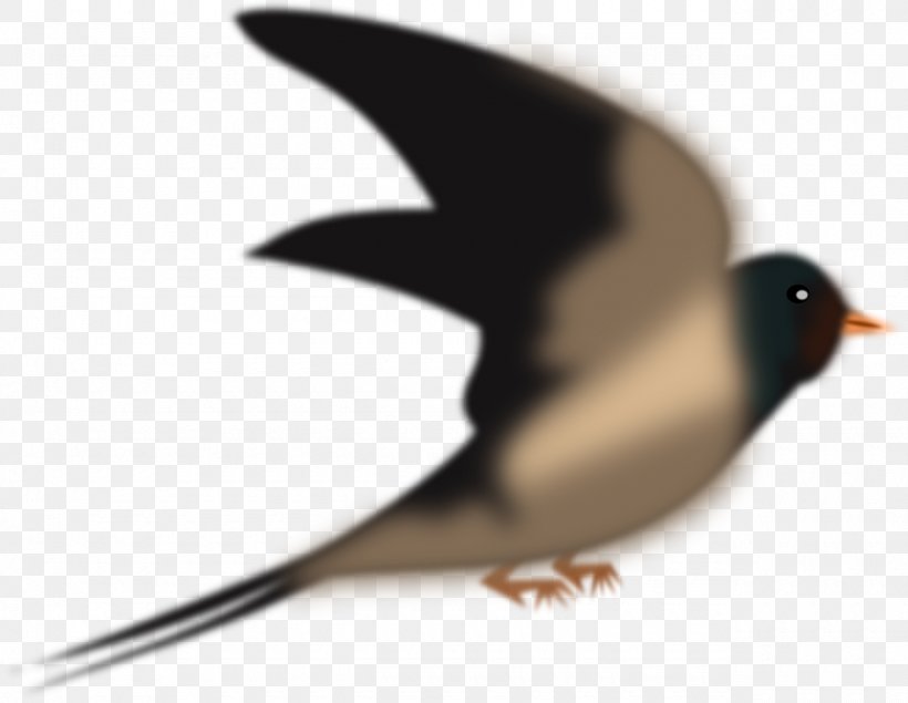 Bird Swallow Columbidae Domestic Pigeon Penguin, PNG, 1280x992px, Bird, Barn Swallow, Beak, Columbidae, Domestic Pigeon Download Free
