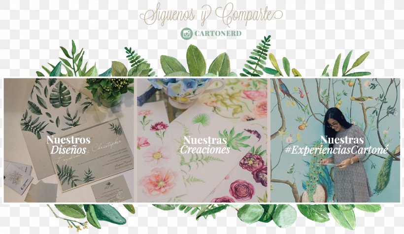 Floral Design Leaf Brand Picture Frames, PNG, 2531x1468px, Leaf, Botany, Brand, Design M Group, Floral Design Download Free