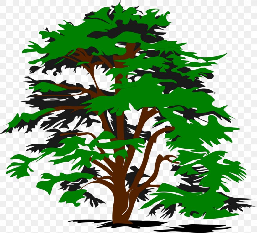 Tree Black And White Clip Art, PNG, 1000x905px, Tree, Black, Black And White, Branch, Cdr Download Free