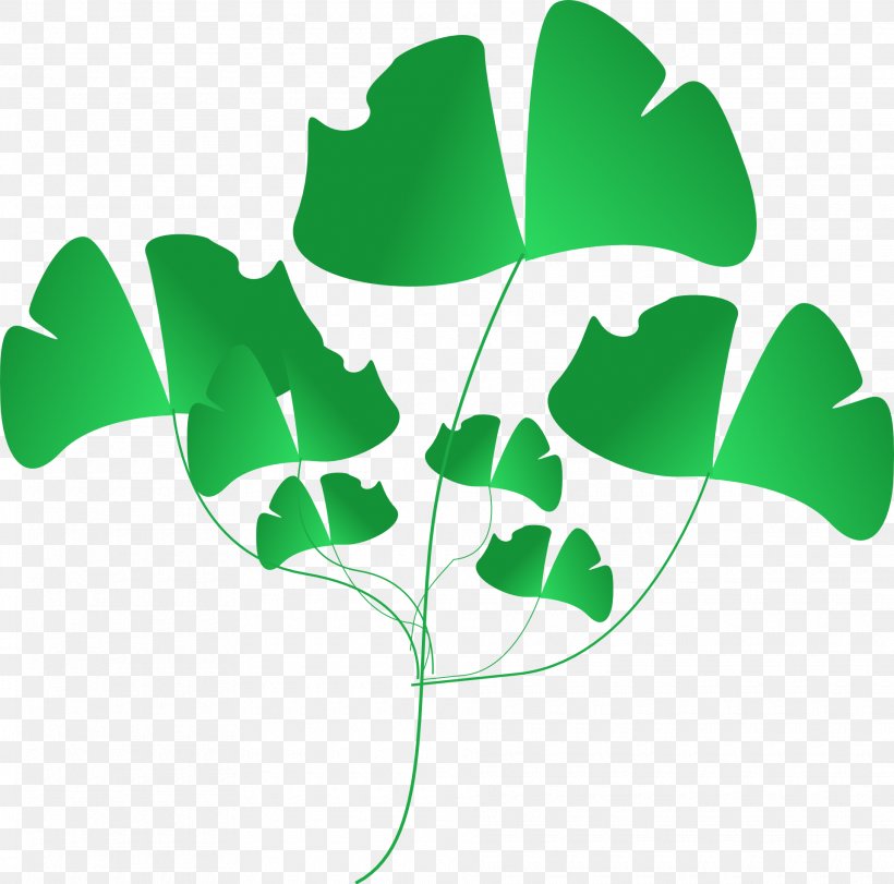 Clip Art, PNG, 1920x1900px, Leaf, Branch, Green, Palm Branch, Plant Download Free