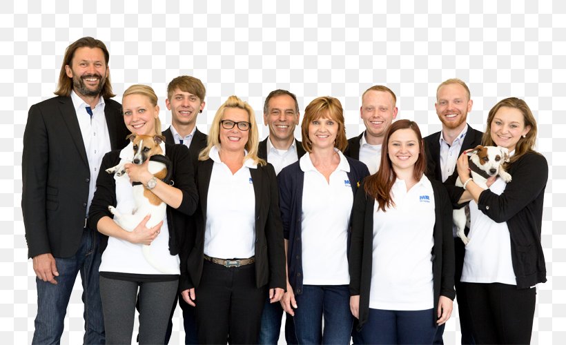 Mettler GmbH Rolladen Rall GmbH Social Group Family Lustnauer Straße, PNG, 800x500px, Social Group, Business, Businessperson, Empresa, Entrepreneur Download Free